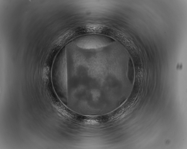 X0000101160649200806271010