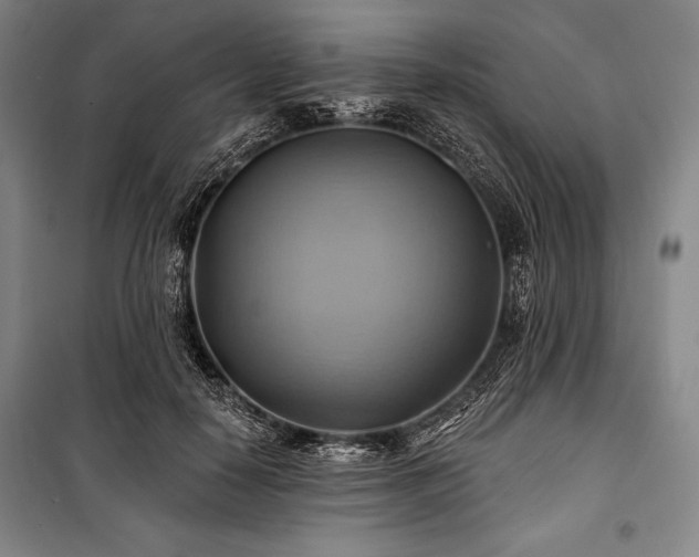 X0000101160650200806271010