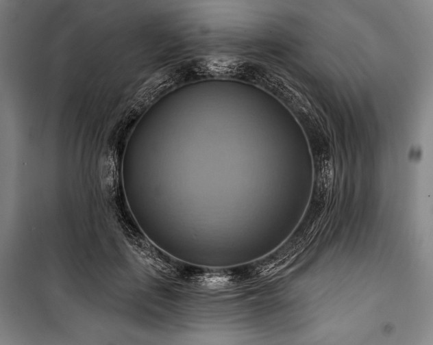 X0000101160651200806271010