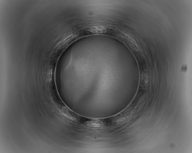 X0000101160652200806271010