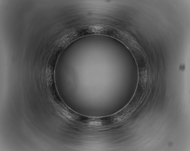 X0000101160653200806271011