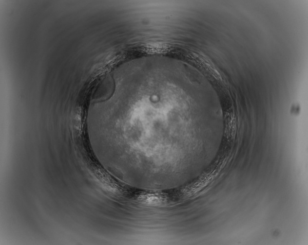 X0000101160655200806271011