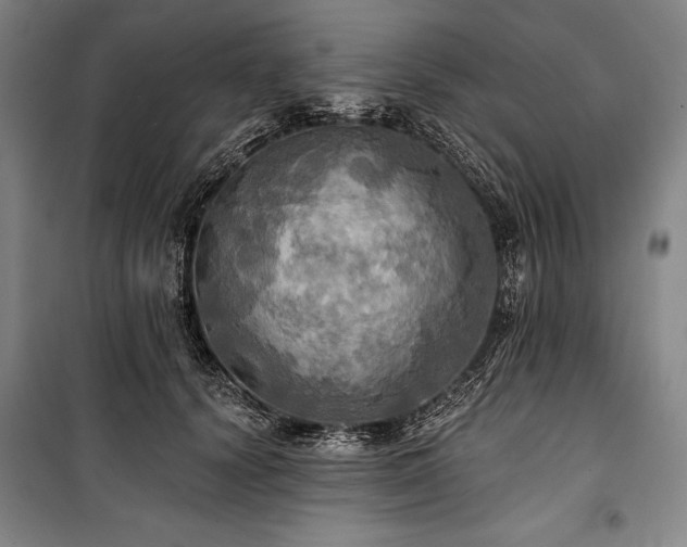 X0000101160656200806271011