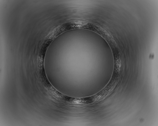 X0000101160657200806271011