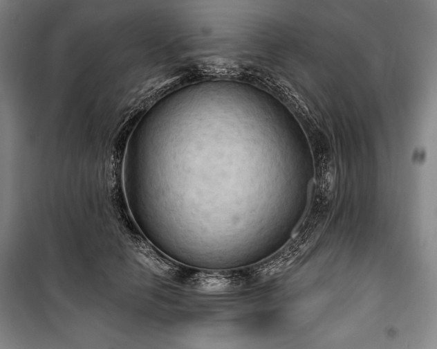 X0000101160658200806271011