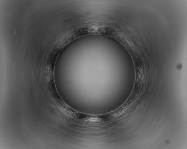 X0000101160659200806271011
