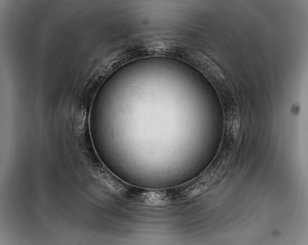 X0000101160660200806271011