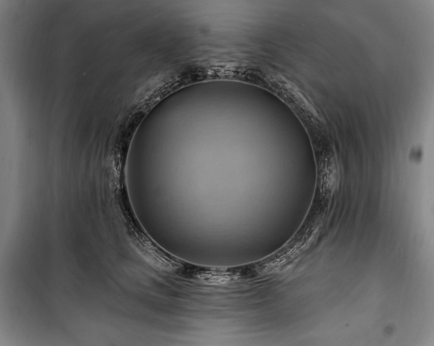 X0000101160661200806271011
