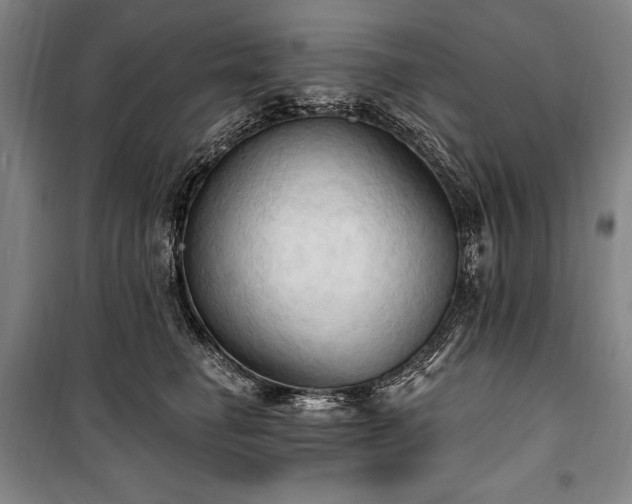 X0000101160662200806271011