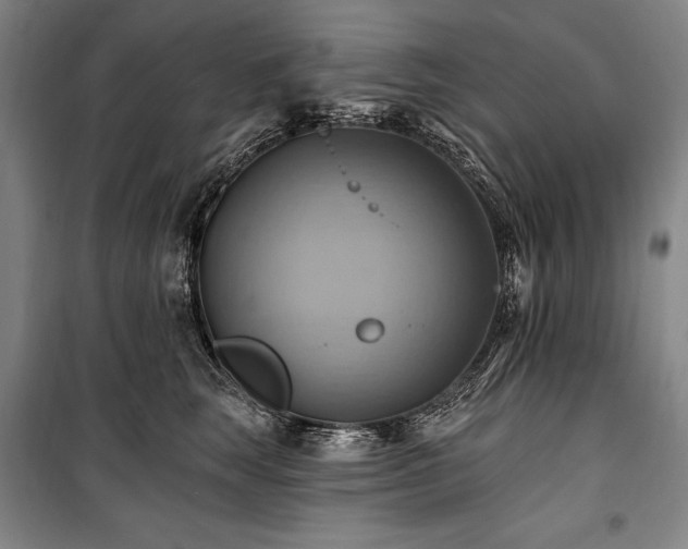 X0000101160663200806271011