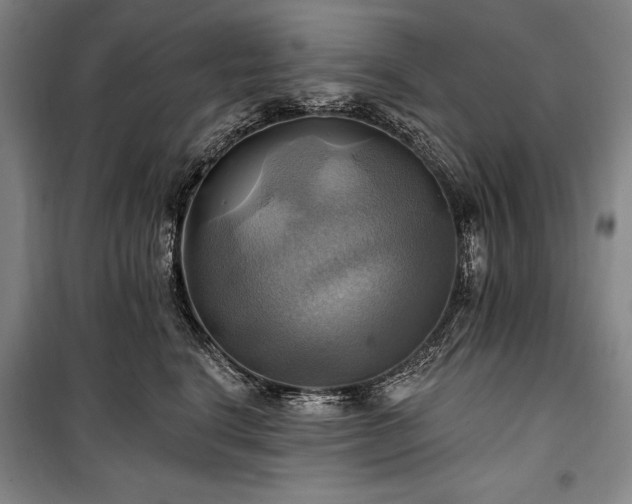 X0000101160664200806271011