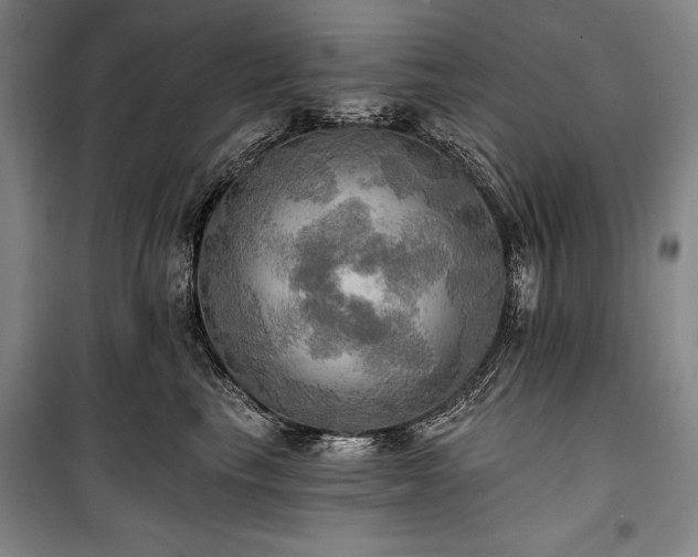 X0000101160665200806271011