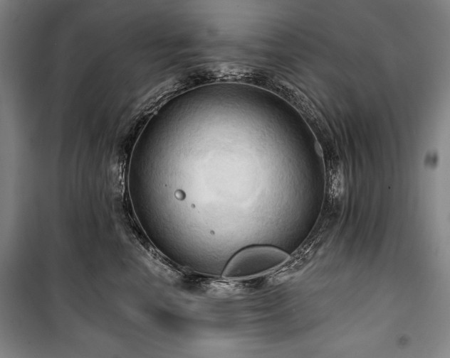 X0000101160666200806271011