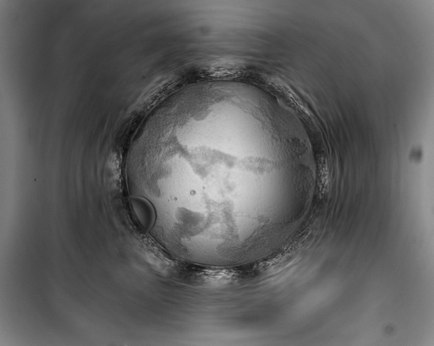 X0000101160667200806271011