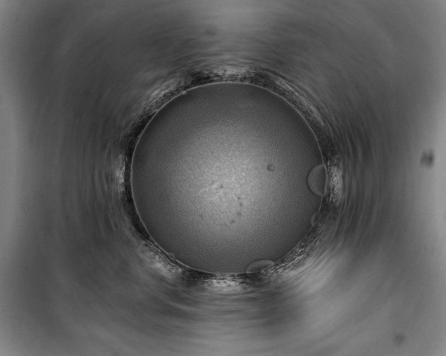 X0000101160668200806271011