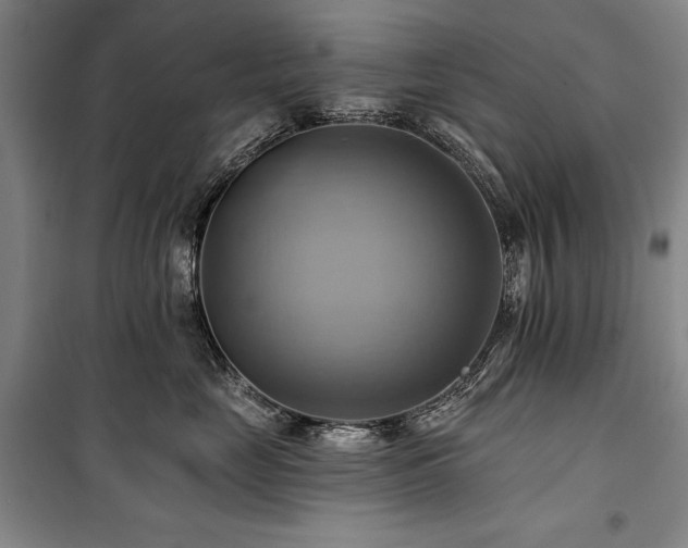 X0000101160669200806271011