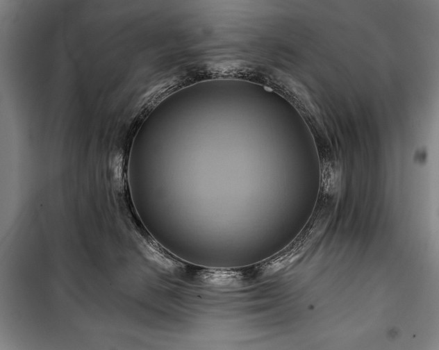X0000101160670200806271011