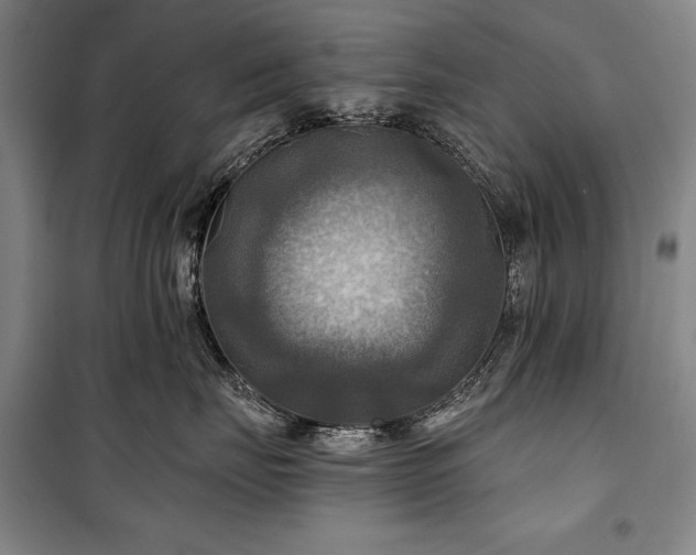 X0000101160671200806271011