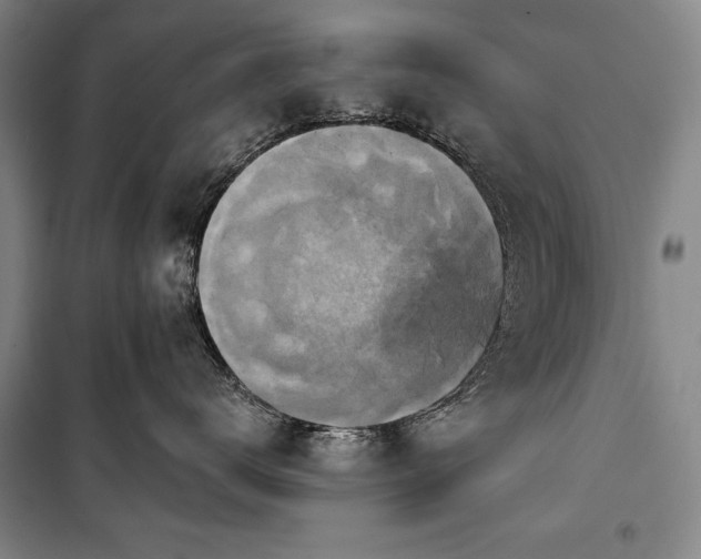 X0000101160672200806271011