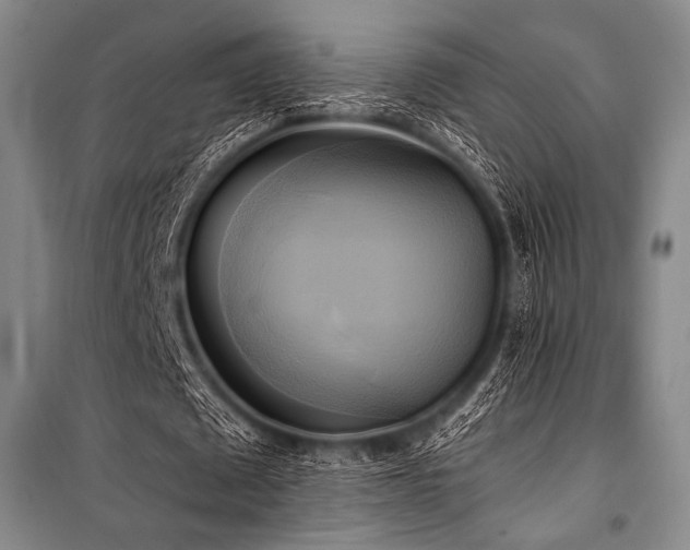 X0000101160673200806271010
