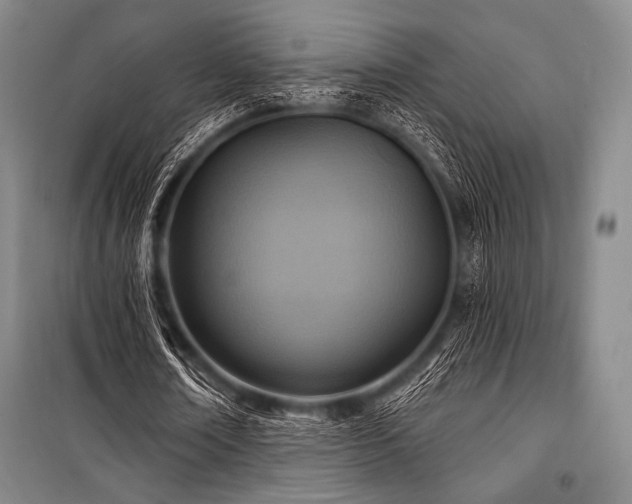 X0000101160674200806271010