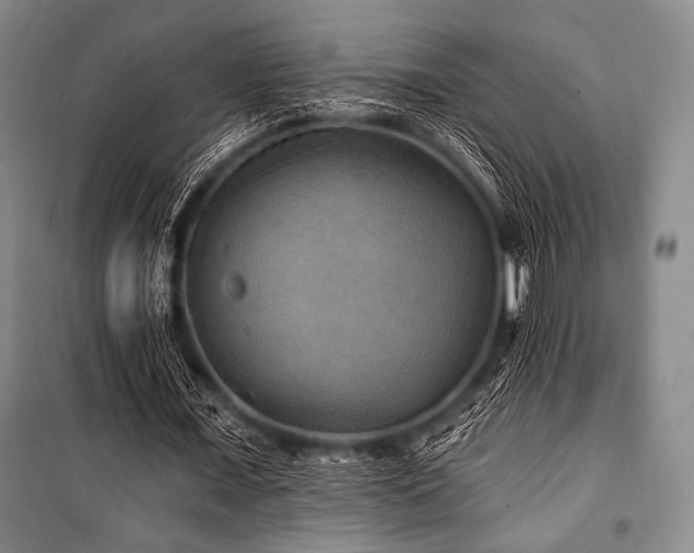 X0000101160675200806271010