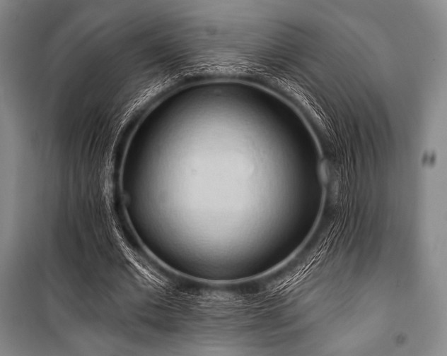 X0000101160677200806271010