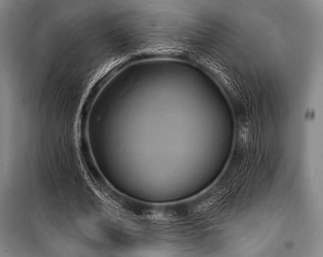 X0000101160678200806271010