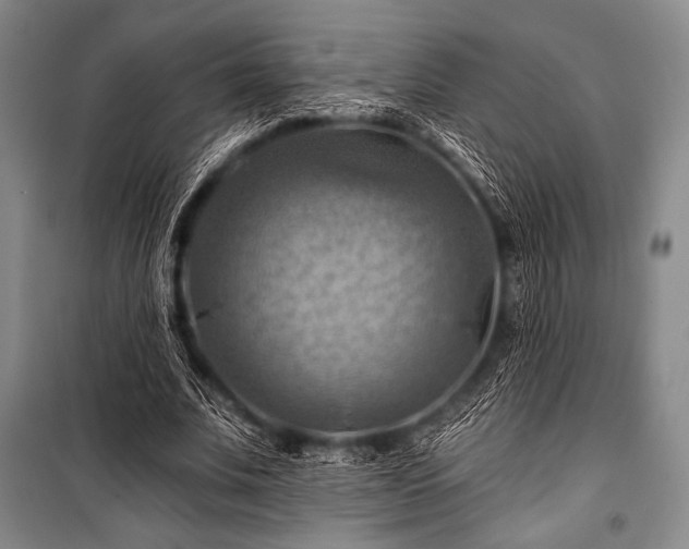 X0000101160679200806271010