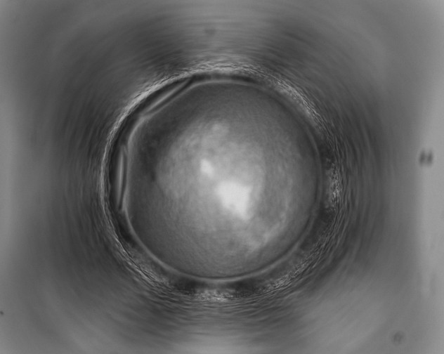 X0000101160680200806271010
