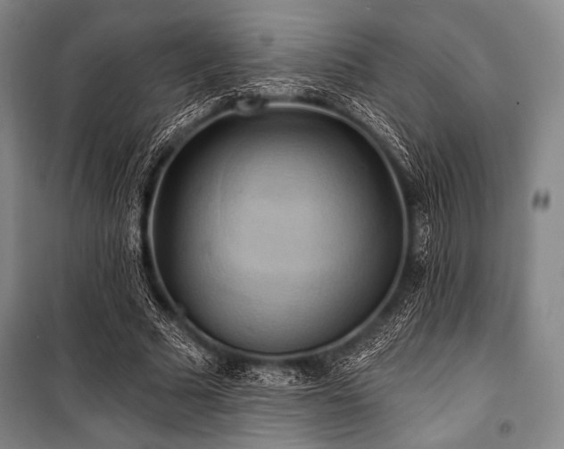 X0000101160681200806271010