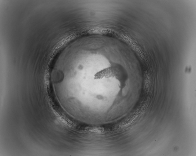 X0000101160683200806271010