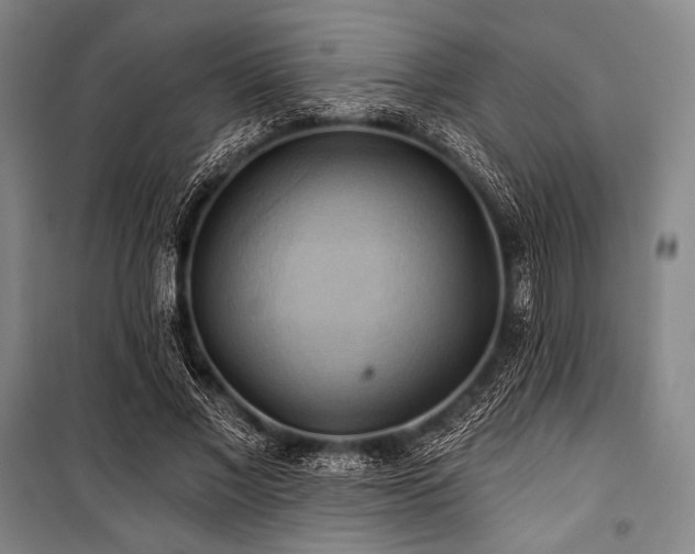 X0000101160685200806271010