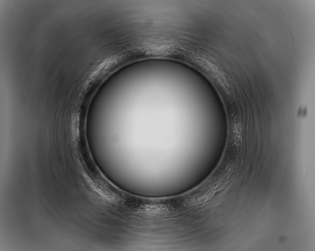 X0000101160686200806271010