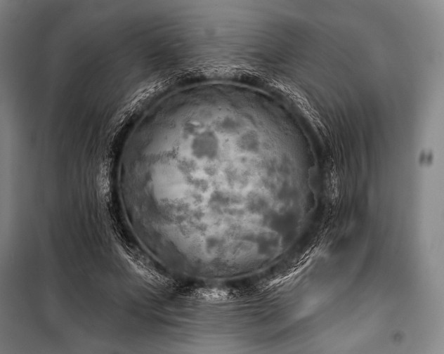 X0000101160687200806271010