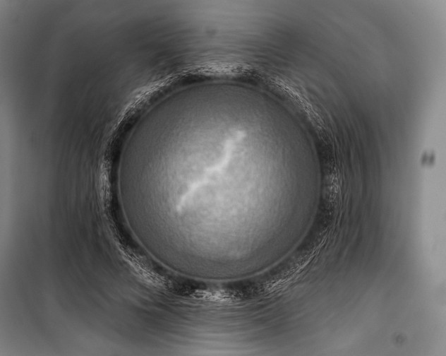 X0000101160688200806271010