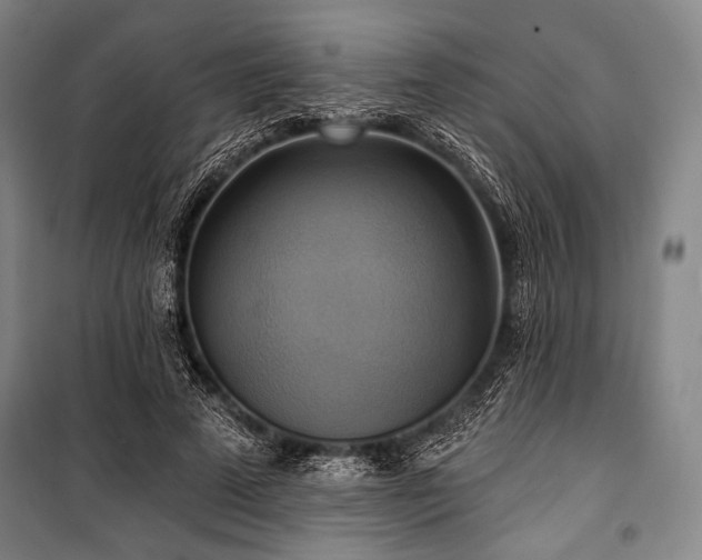 X0000101160689200806271010