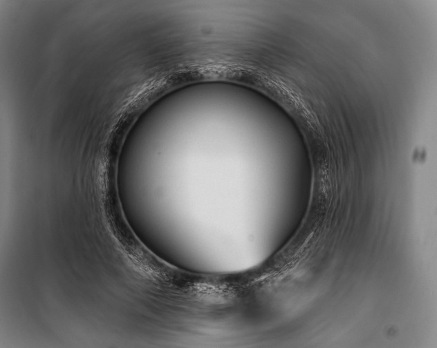 X0000101160690200806271010