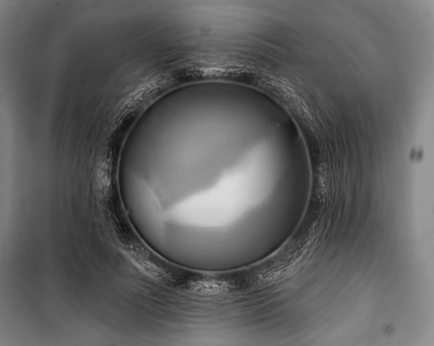 X0000101160691200806271010