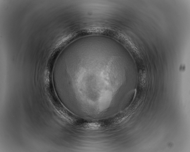 X0000101160692200806271010