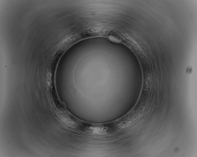 X0000101160693200806271010