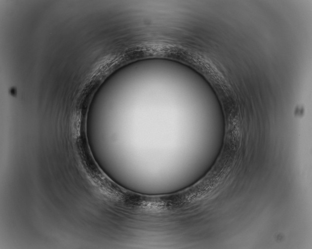 X0000101160694200806271010