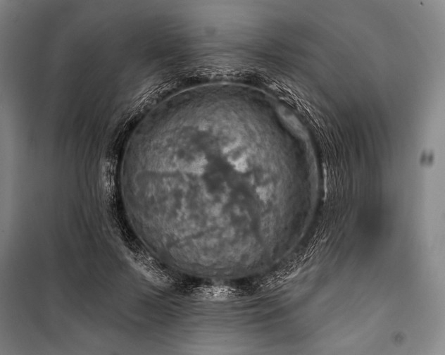 X0000101160695200806271010
