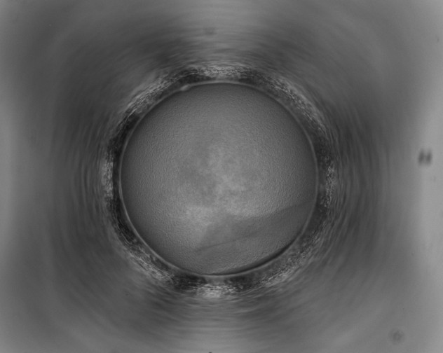 X0000101160696200806271010