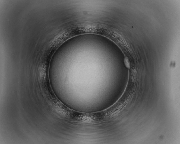 X0000101160697200806271010