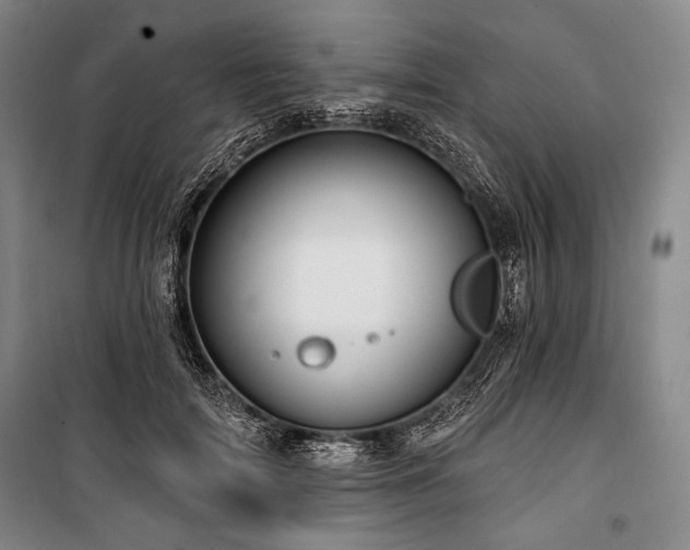 X0000101160698200806271010