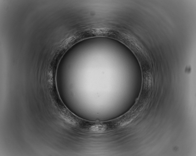 X0000101160700200806271010