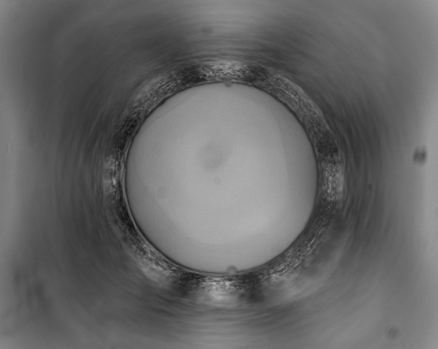 X0000101160701200806271010