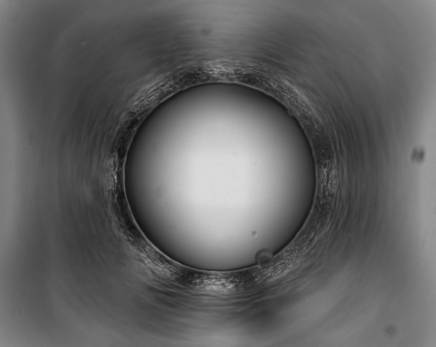 X0000101160702200806271010