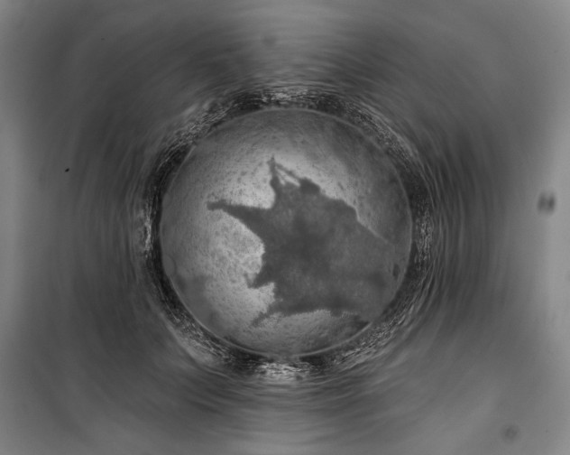 X0000101160703200806271009